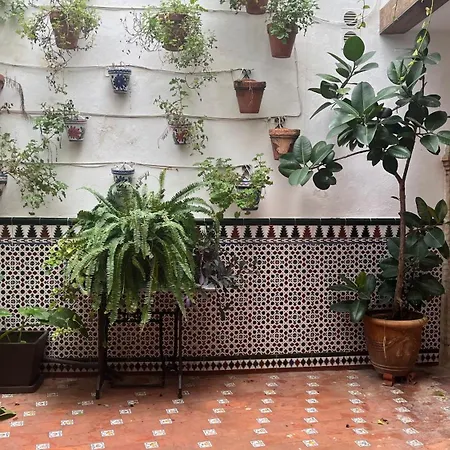 Casa La Piconera Appartement Cordoue