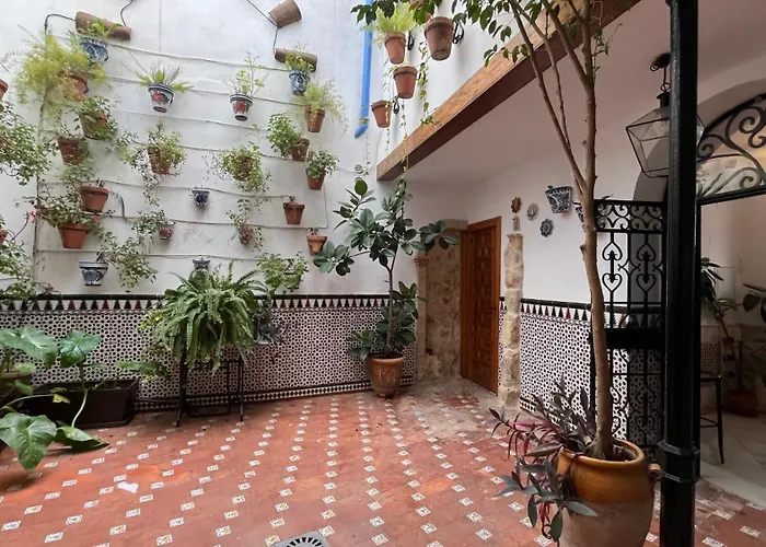 La Piconera 아파트